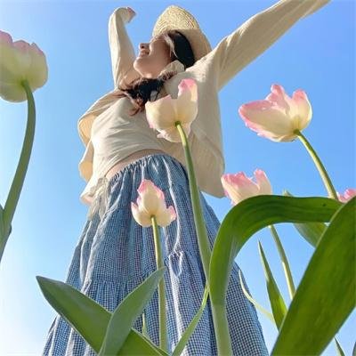 酸甜家族