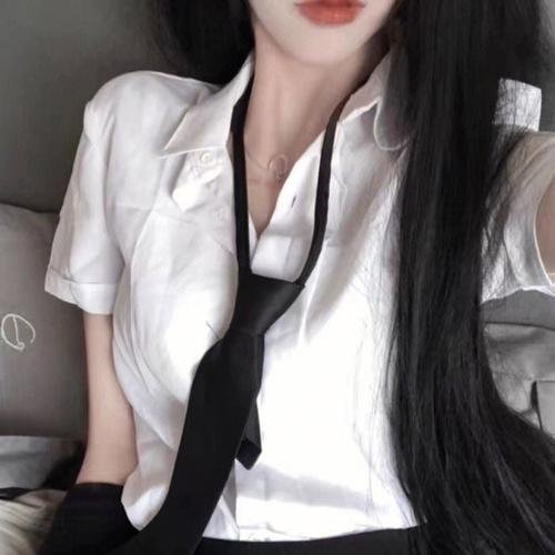 海豚之眼